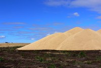 Grain placed in piles needs to stay dry and cool. (Flickr photo by Brad Smith)
