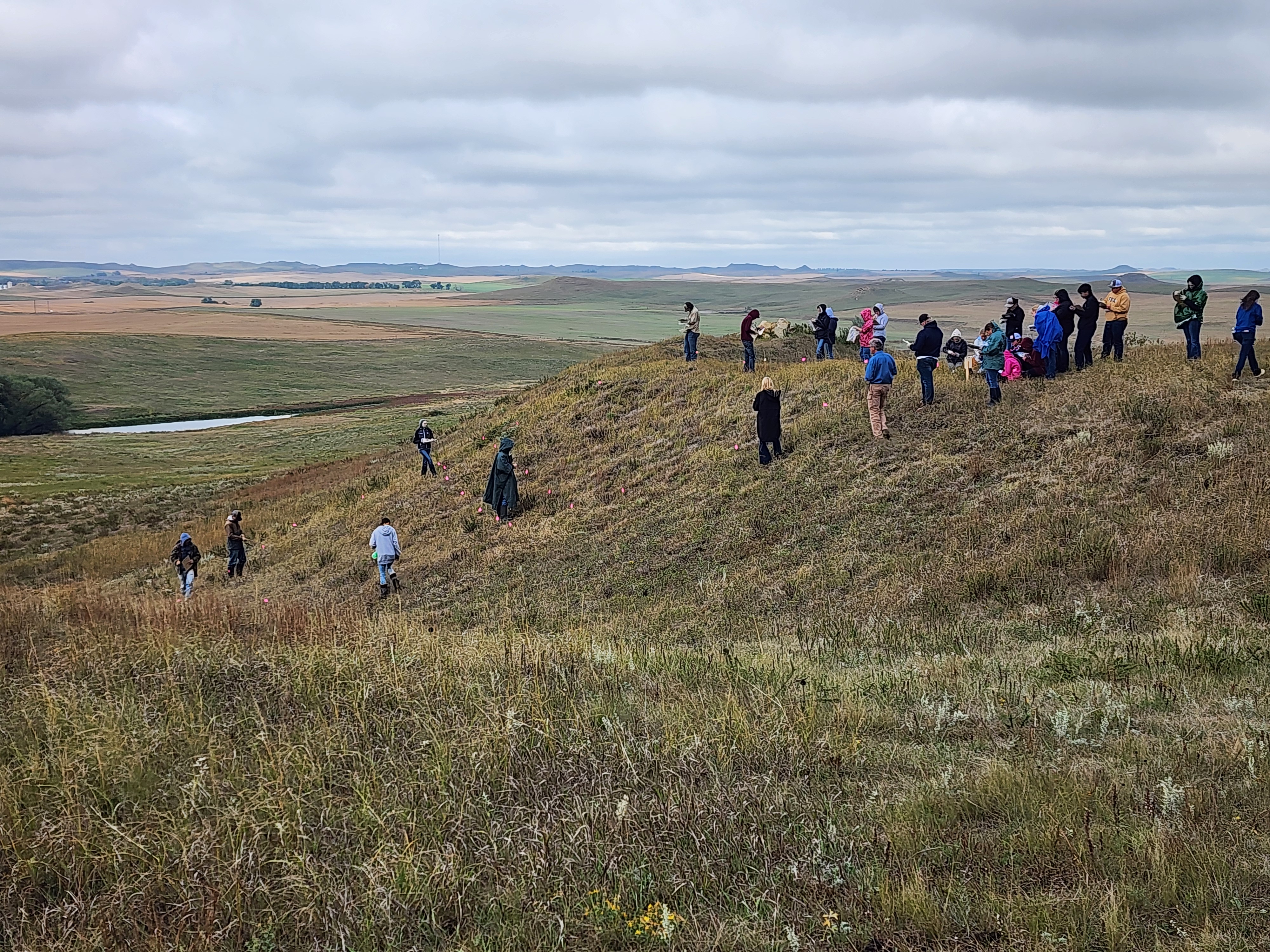 4-H members compete at an evaluation site near Glen Ullin, North Dakota, for the state range judging contest. (NDSU photo)