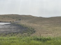 Allowing pasture and rangeland to recover this fall or next spring will improve these grazing resources’ ability to recover from the drought. (NDSU photo)