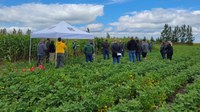 Participants will hear about topics such as soil fertility, soil testing, cover crop management and on-farm soil management practices. (NDSU photo)
