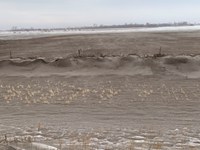 A roadside ditch along Highway 2, about 5 miles west of Grand Forks, North Dakota, full of topsoil from the adjoining field that was tilled in the fall. (NDSU photo)