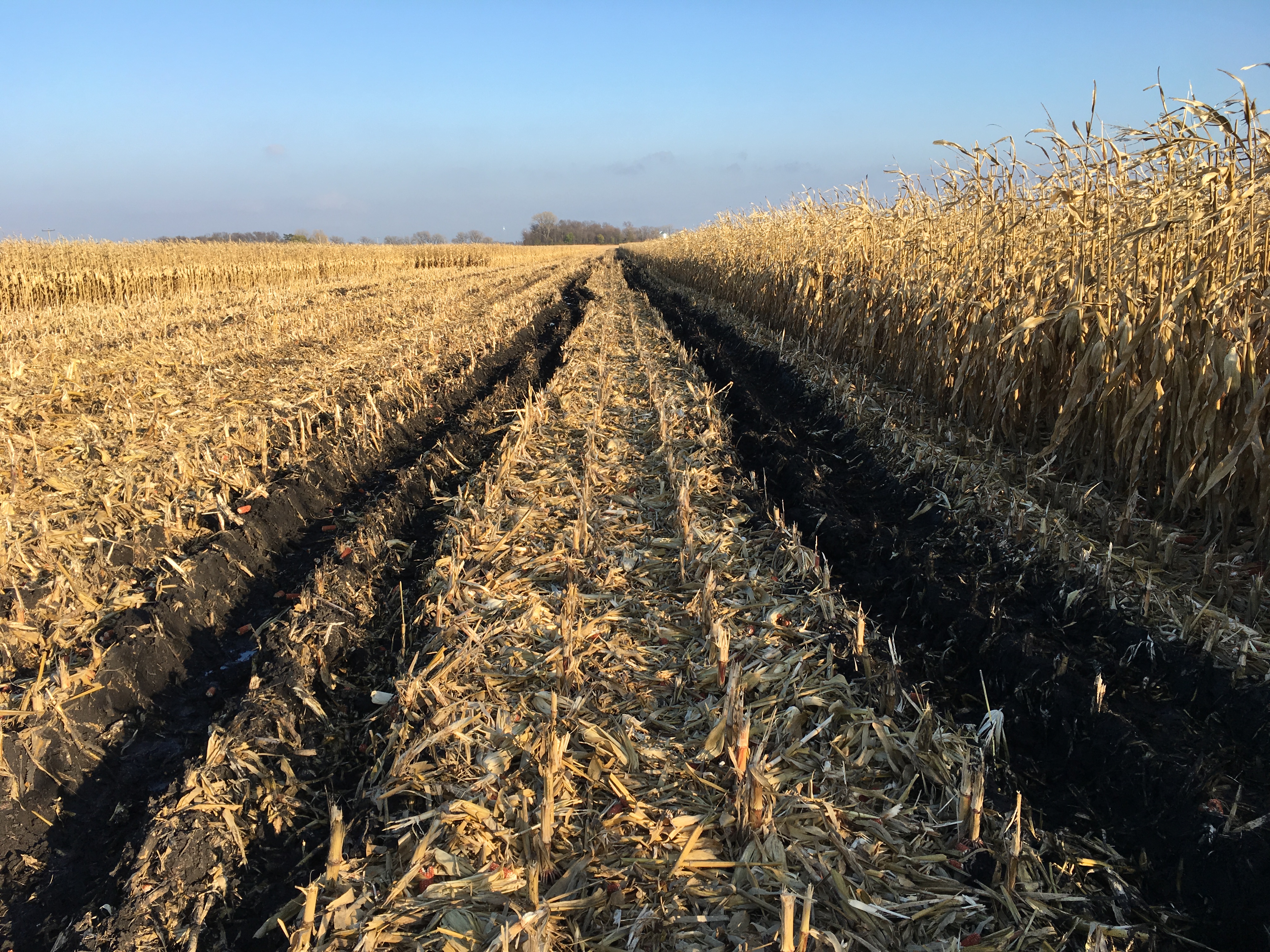 Conference attendees can gain actionable insights to address current compaction issues and develop long-term management strategies. (UMN photo)