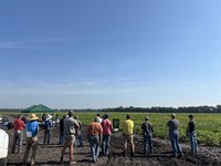 Some field day sessions will focus on practical, integrated management strategies to help producers address dry bean challenges. (NDSU photo)