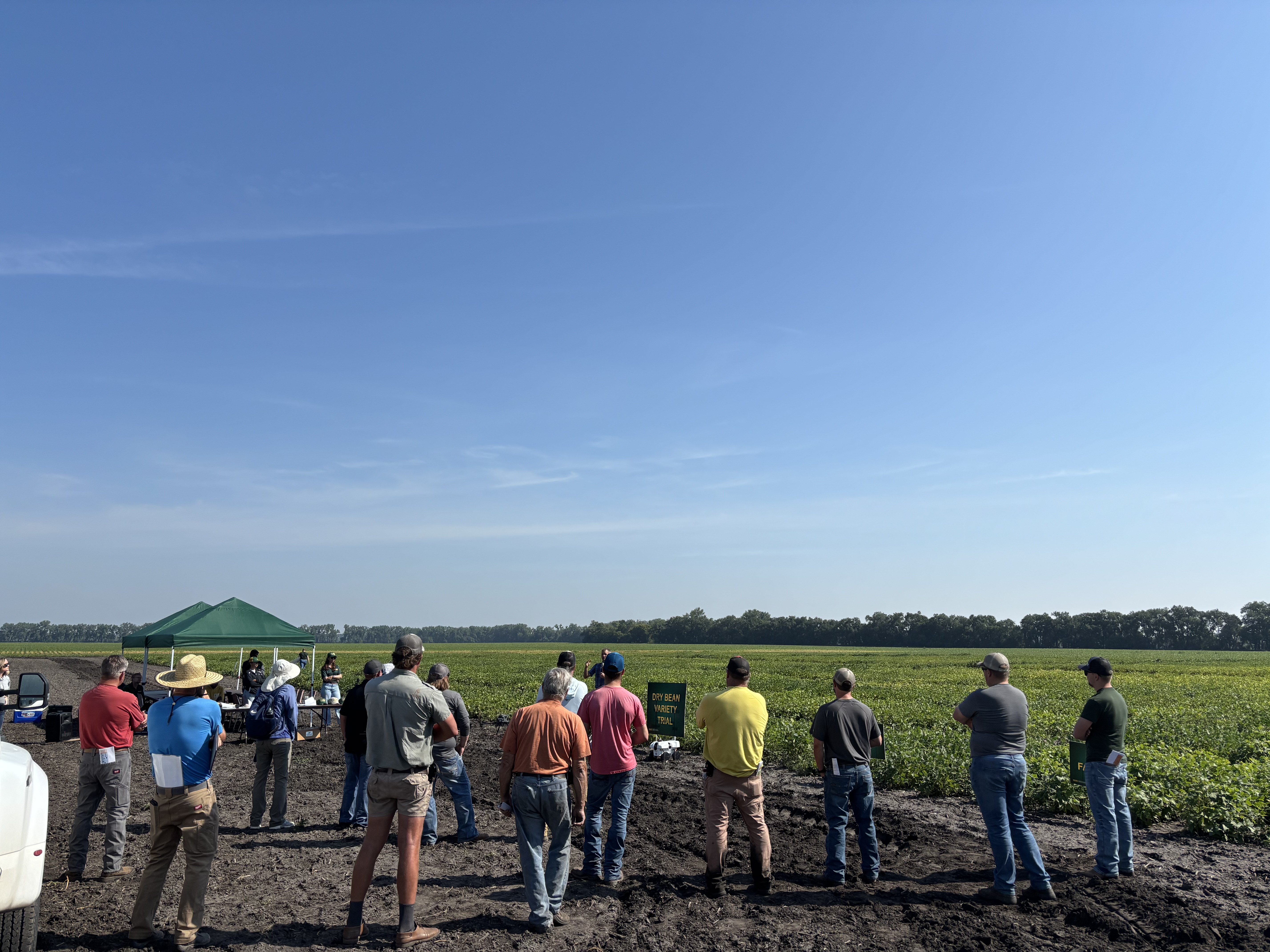 Some field day sessions will focus on practical, integrated management strategies to help producers address dry bean challenges. (NDSU photo)