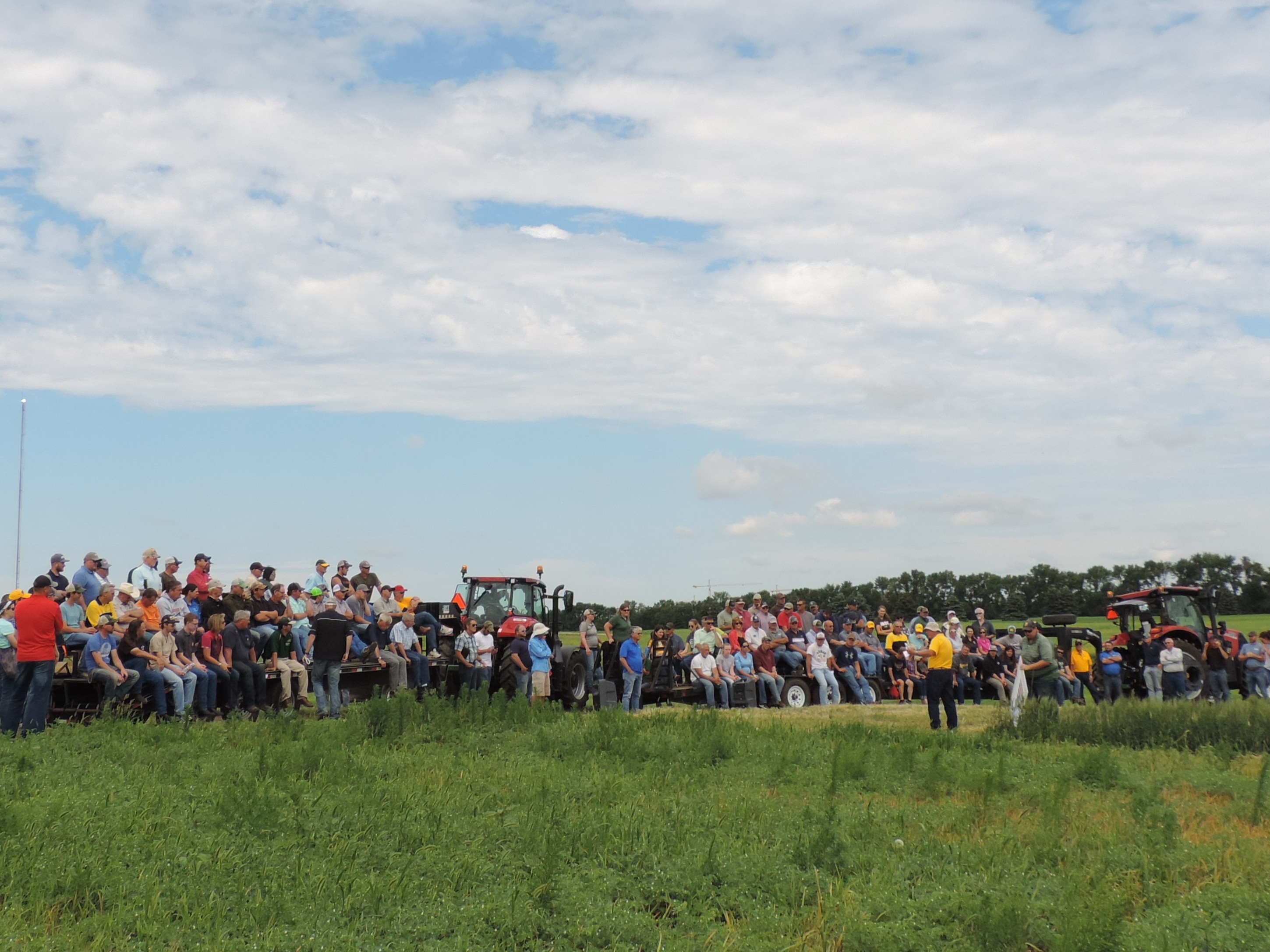 Farmers, crop advisers and others attend NDSU's North Central Research Extension Center Field Day. (NDSU photo)