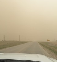 Dusty conditions can pose serious cattle health challenges if not identified early. (NDSU photo)