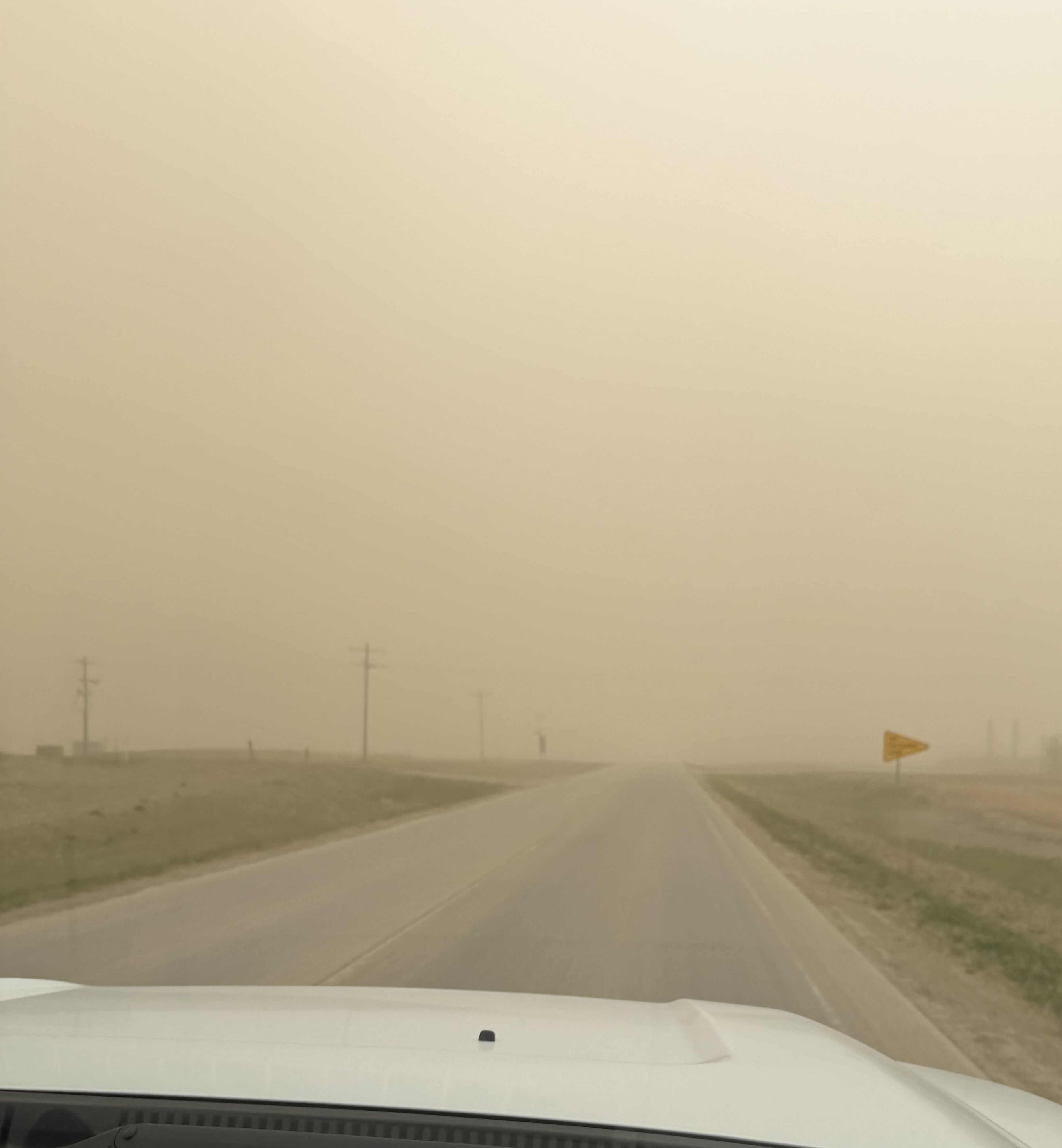 Dusty conditions can pose serious cattle health challenges if not identified early. (NDSU photo)