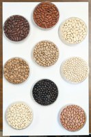 The webinar will feature experts discussing a range of topics about dry beans and nutrition. (NDSU photo)