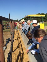 Youth participating in the Junior Beef Producers Workshop will explore hands-on topics such as animal nutrition and bunk management. (NDSU photo)