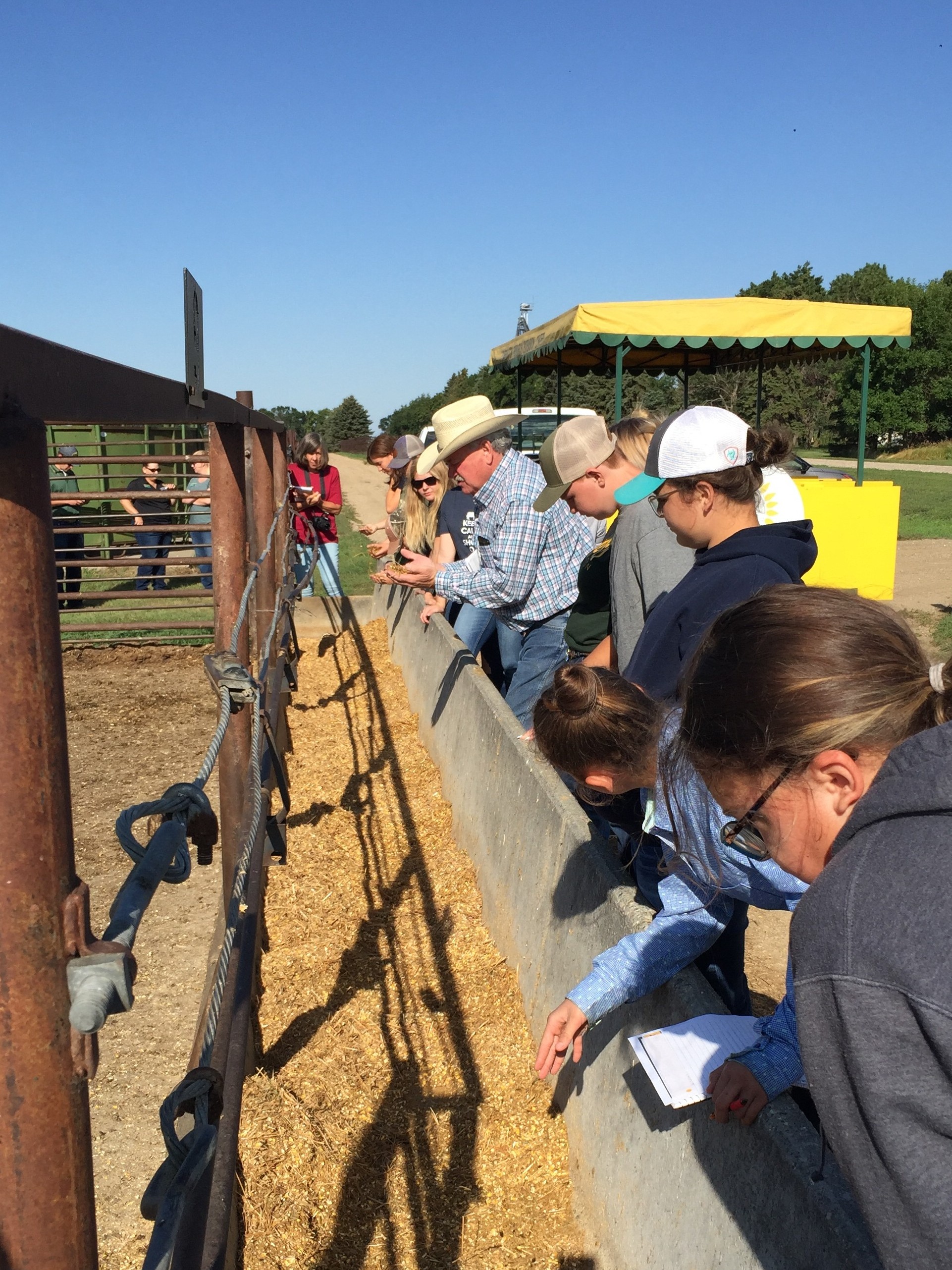Youth participating in the Junior Beef Producers Workshop will explore hands-on topics such as animal nutrition and bunk management. (NDSU photo)