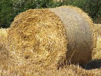 Round Bale