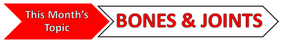 Topic Banner - Bones