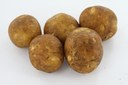 MN and ND Potato Seed Directories - 2012