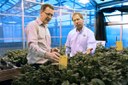 NDSU / U of M International Potato Scout School