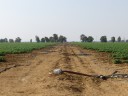 Drip irrigation in Israel