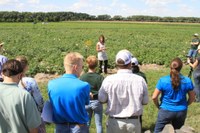 Susie Thompson Potato Breeding Handout