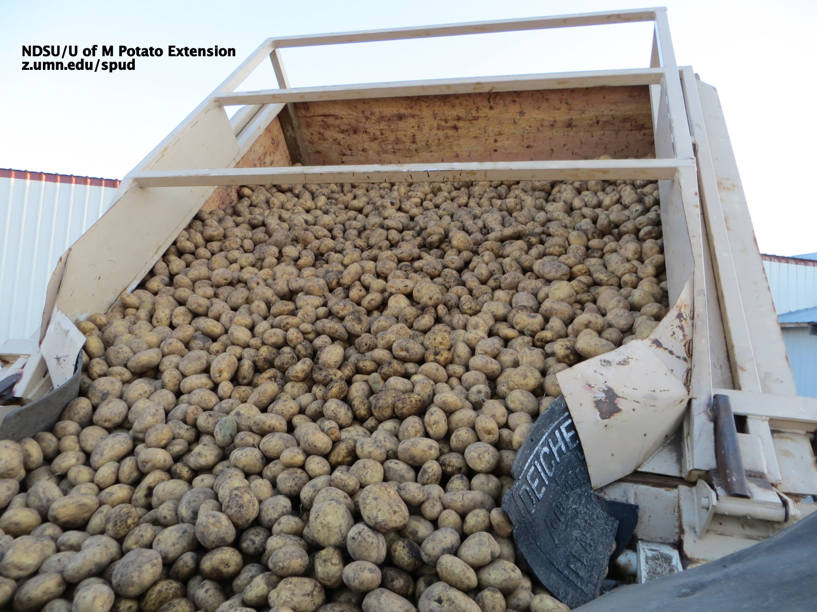 US Seed Potato Acres Increased 3.8%