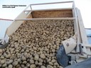 US Seed Potato Acres Increased 3.8%