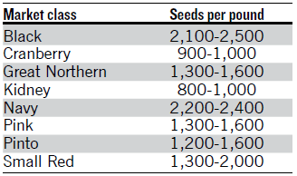 Comprehensive Guide on Dry Beans Production