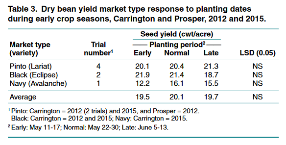 Dry bean yield early crop seasons