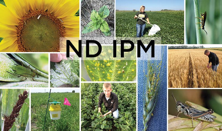 ND IPM Logo