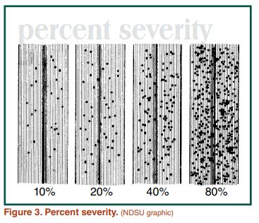 Percent severity