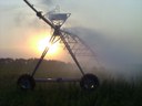 Irrigation photo