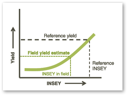 Reference yield 2