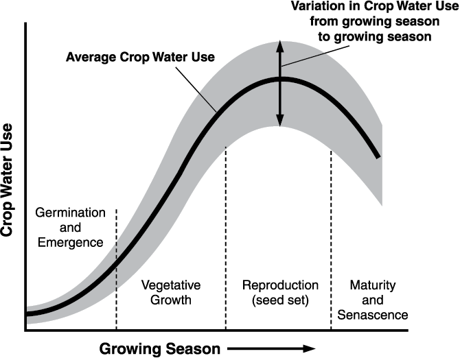 Water use curve Figure 10