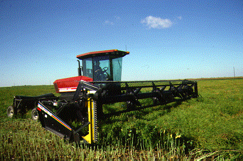 Swather equipped with vertical cutter bar