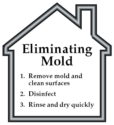 Eliminatring Mold