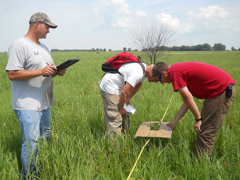 Evaluating a prairie reconstruction
