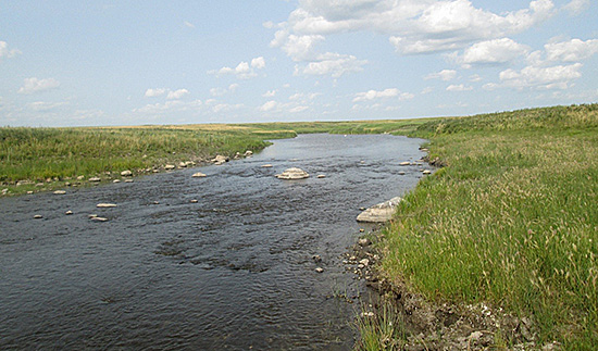 Floodplain plant communities associated with B streams
