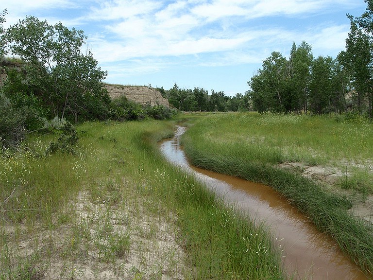 Stream with well defined greenline plant community