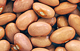 Pink beans