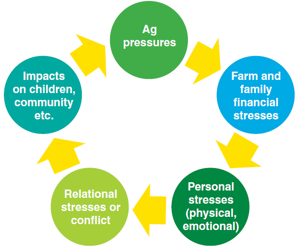 cycle of stress