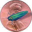 Figure 2 Compared to penny