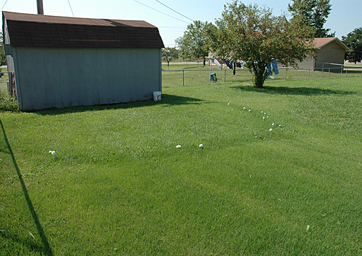 Fairy ring from larger area
