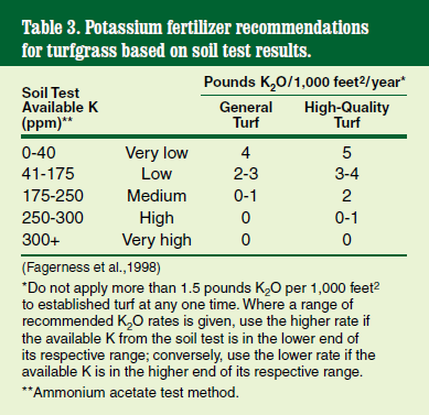 Potassium recommendations 