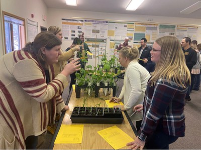 Plant event, two people in discussion 