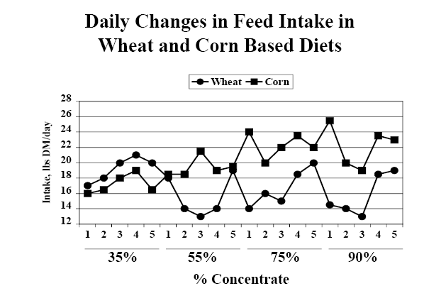 Daily Changes in Feed Intake