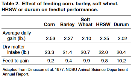 Effect of feeding corn barley 