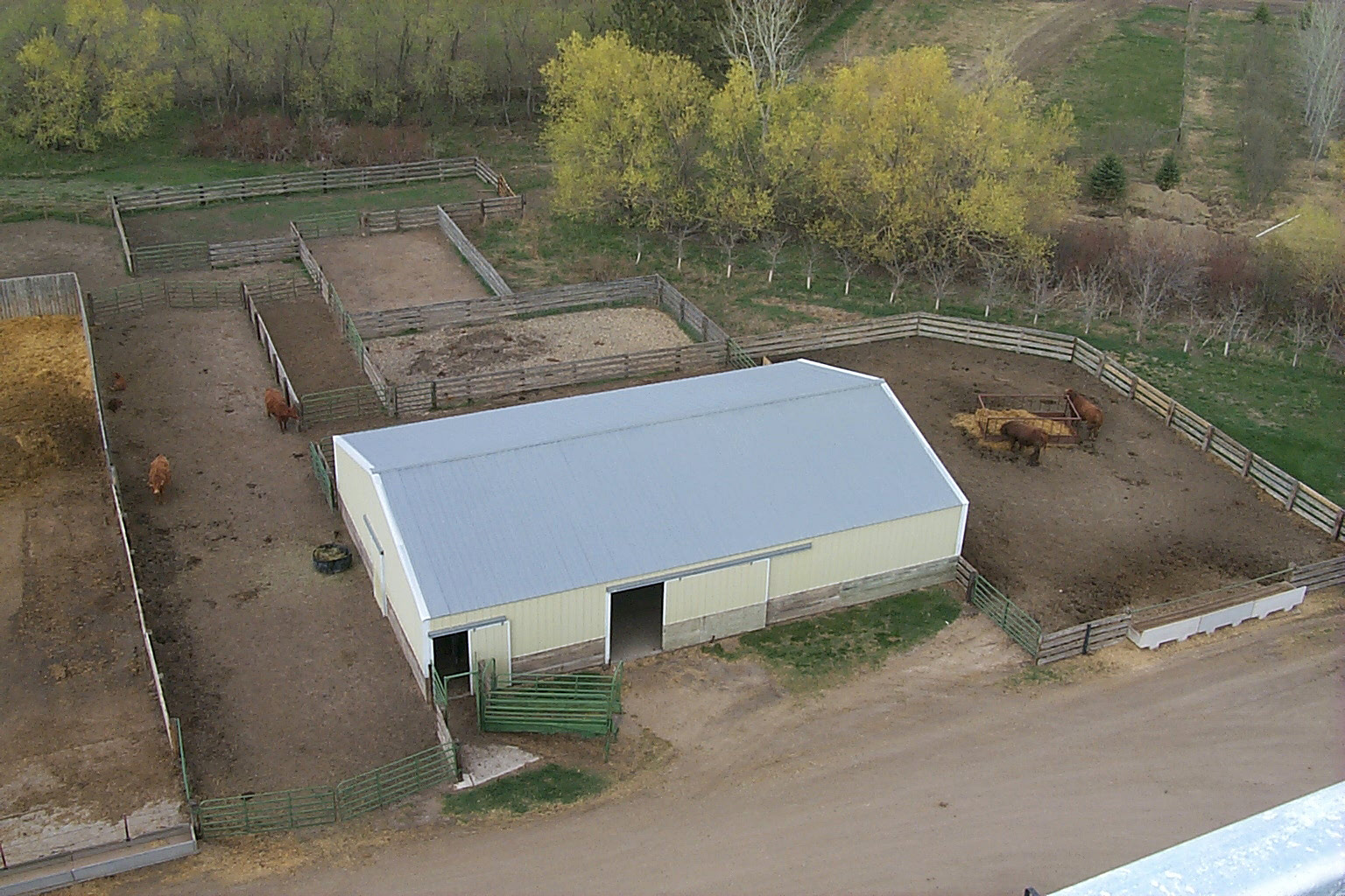Overhead view of the north barn with outside holding pens, alleys and loading chute