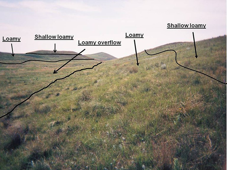 Figure 1 Landscape features and location