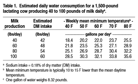 Daily water consumption