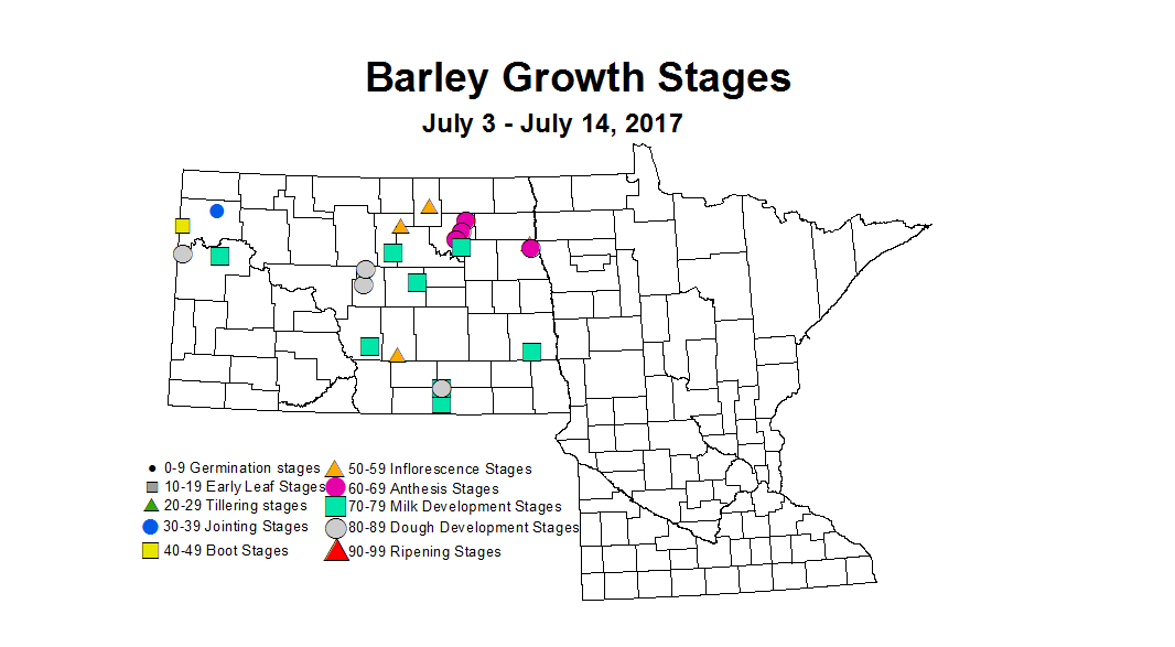 barley zgs 7 3 7 14 2017