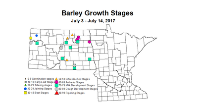 barley zgs 7 3 7 14 2017