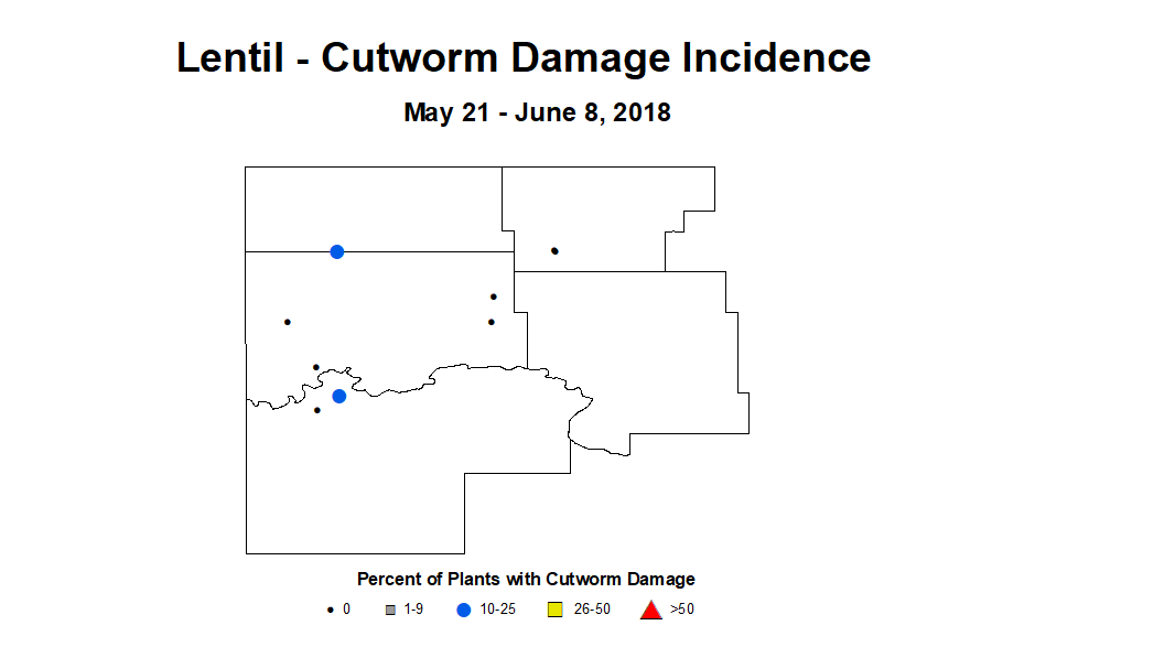 lentil cwdmginc 5.21 6.8