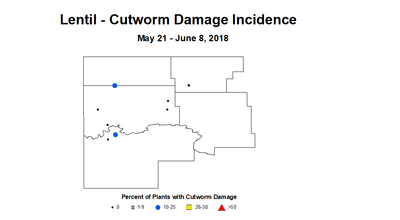 lentil cwdmginc 5.21 6.8