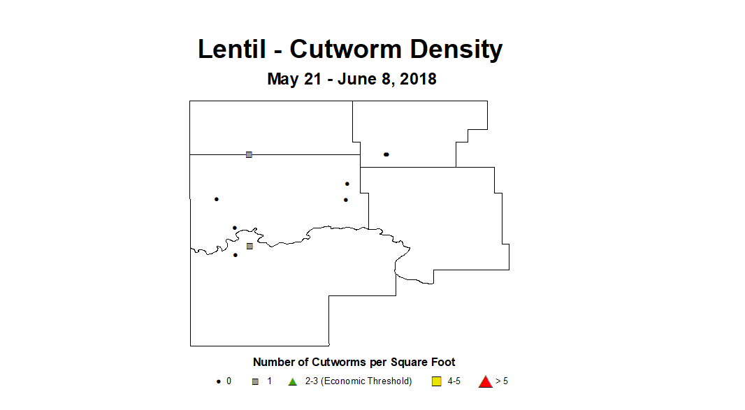 lentil cwyd2 5.21 6.8